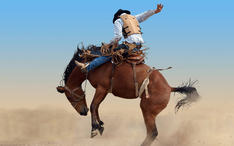 Rodeo in Amerika Rodeo Amerika