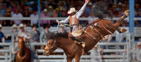 Rodeo cowboy Canada en Amerika