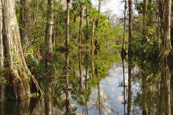 Everglades National Park, Florida Reisadviseur Petra