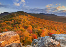 White Mountains