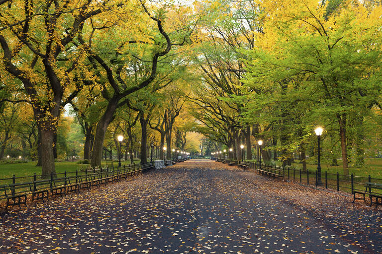 New York, Central Park Stedentrip New York