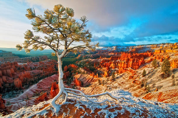 Bryce Canyon National Park, Zuidwest-Amerika Reisadviseur Amber