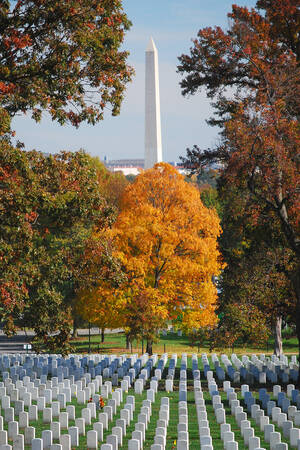Arlington Cemetery