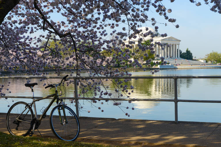 Fietsen in Washington DC Excursies stedentrip Washington