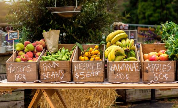 Sunday Market Port Douglas