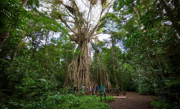 Atherton Tablelands