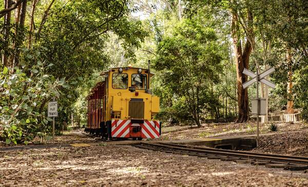 Bundaberg Botanische Tuin