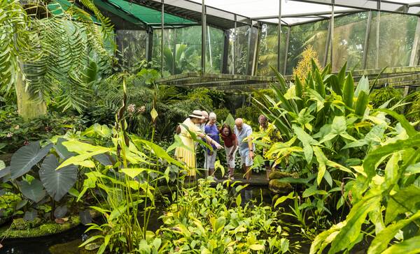 Cairns Botanical Gardens