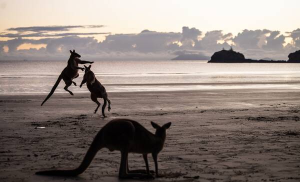 Cape Hillsborough
