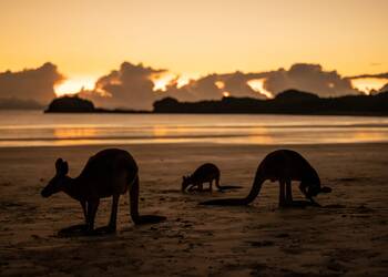 Cape Hillsborough National Park