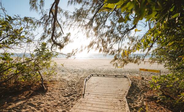 Cape Tribulation