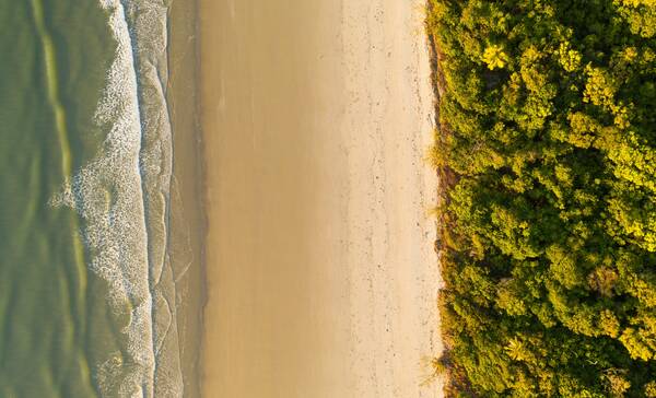 Cape Tribulation Beach