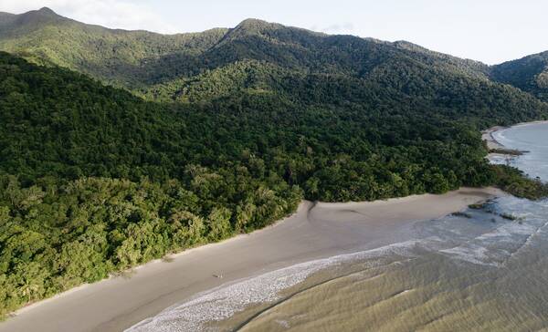 Cape Tribulation