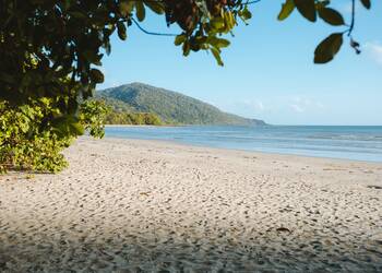 Cape Tribulation