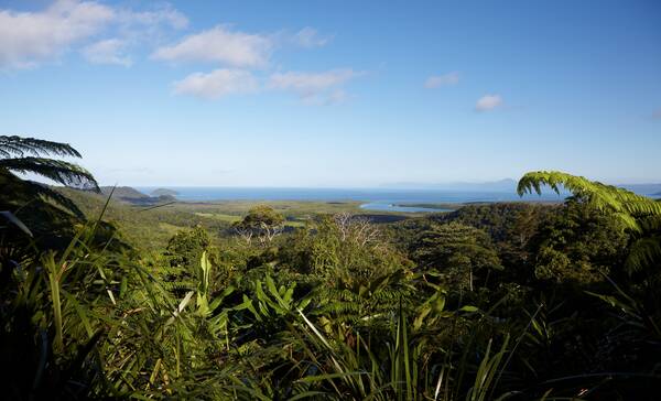 Daintree Mount Alexandra