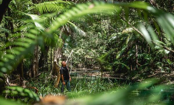 Mossman Gorge