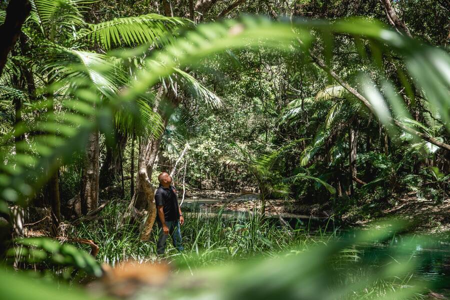 Mossman Gorge