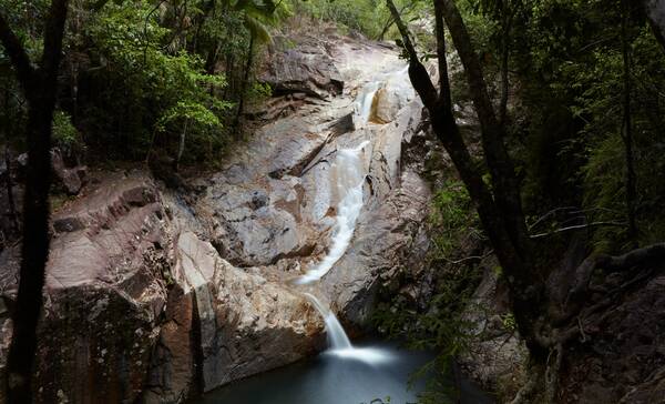 Eungella National Park