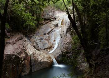 Eungella National Park