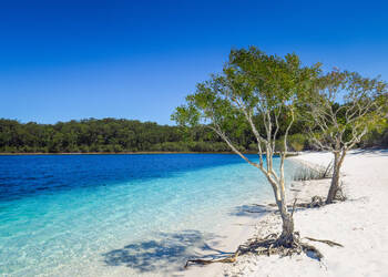 Fraser Island