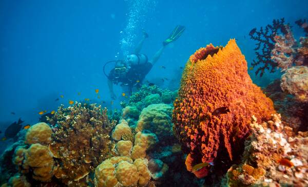 Great Barrier Reef