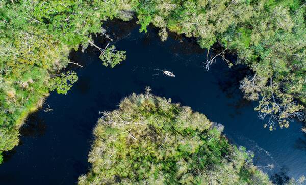 Noosa Everglades