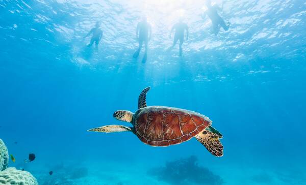 Agincourt Reef