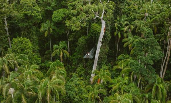 Tamborine National Park