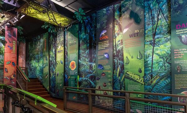 Museum Townsville