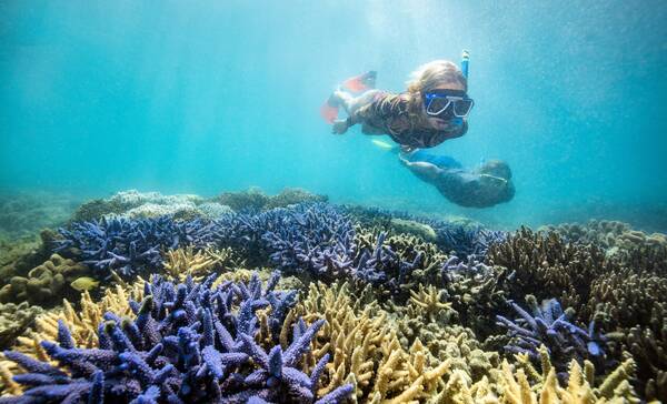 Great Barrier Reef