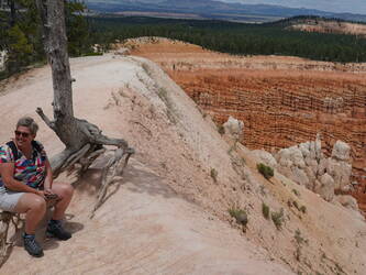 Reisadviseur Tioga Tours
