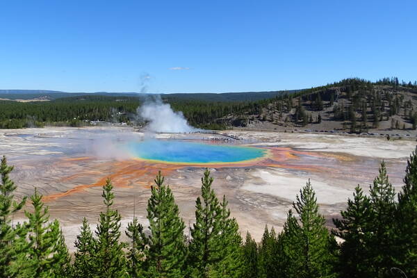 Yellowstone Grand Prismatic Spring