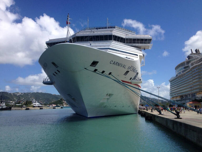 Cruise