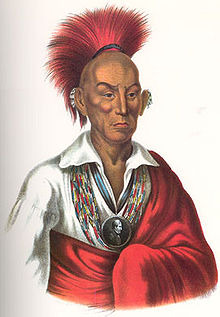 Sauk-indiaan Sauk-Indiaan