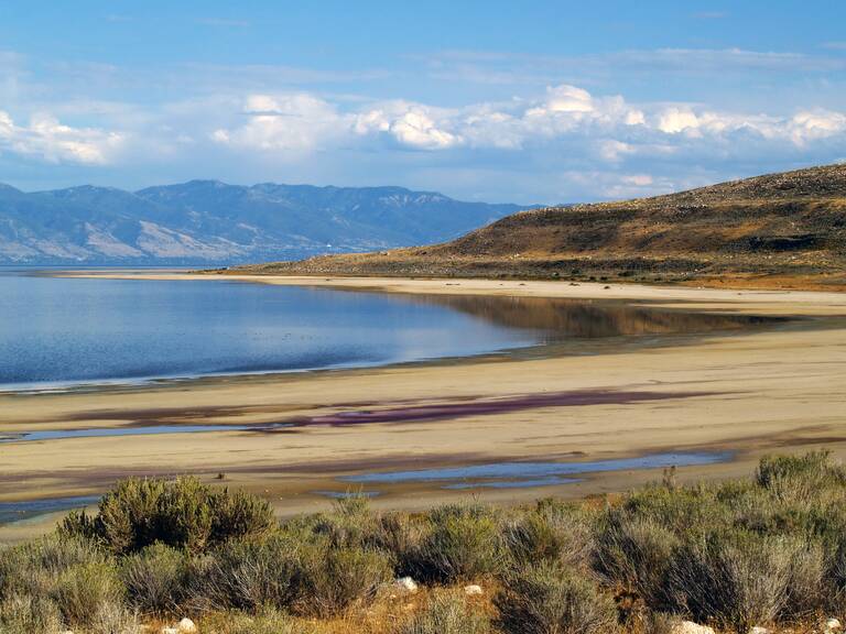 Salt Lake Salt Lake
