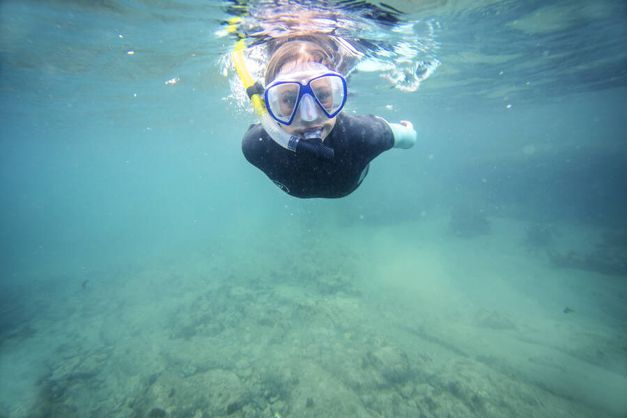 Goat Island Marine reserve