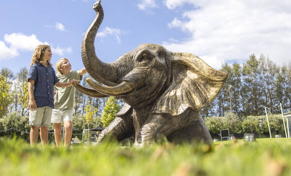 Matakana Sculptureum
