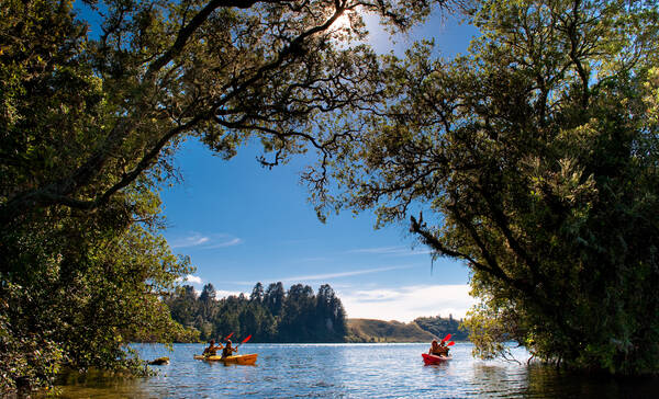 Waimarino Adventure Park