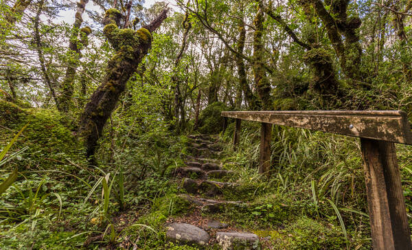 Tongariro National Park