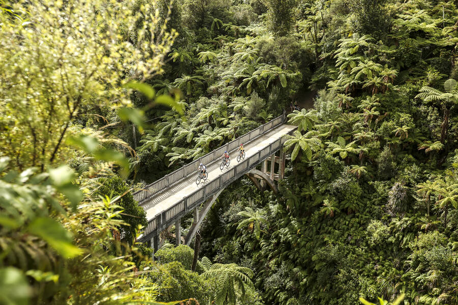 Whanganui National Park