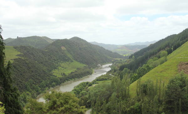 Whanganui