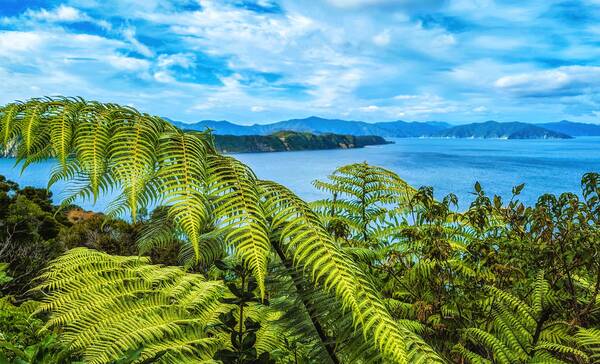 Marlborough Sounds