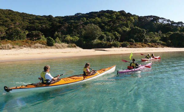 Bay of Islands, kajakken