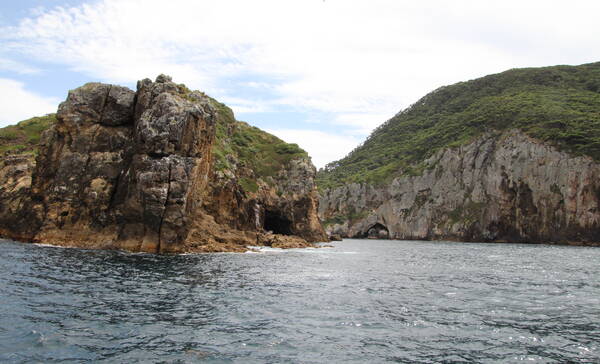 Bay of Islands, boottour