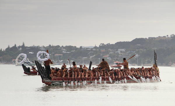 Bay of Islands, Waitangi, Waka