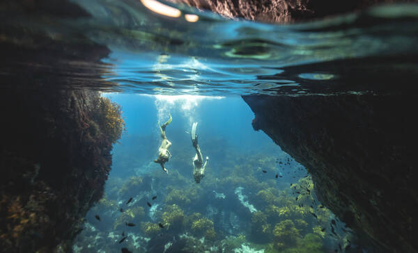 Poor Knights Islands