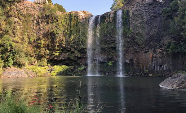 Whangarei Falls