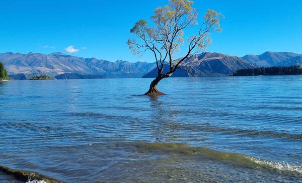 Lake Wanaka