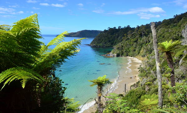 Stewart Island