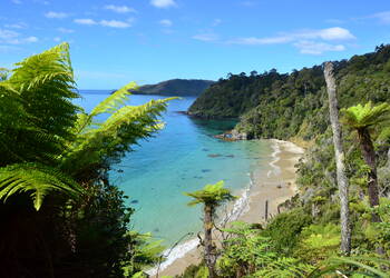 Stewart Island